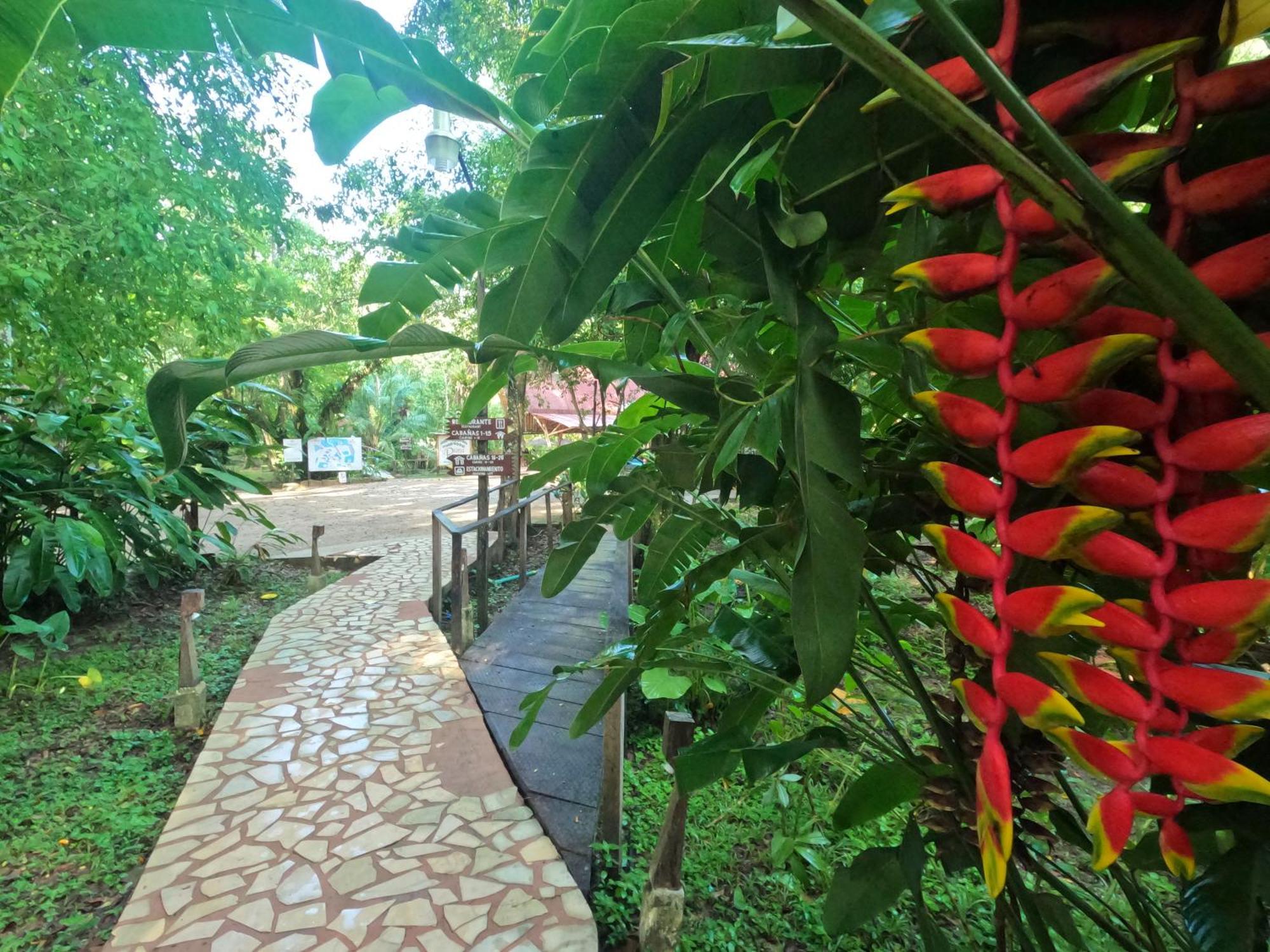 Cabanas Kin Balam Palenque Hotel Exterior foto